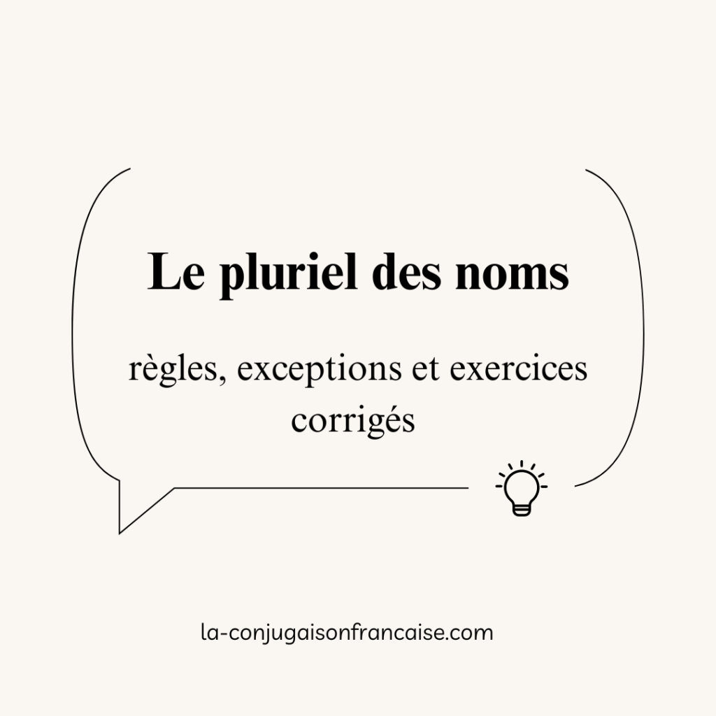 Le pluriel des noms : Cours et exercices corrigés