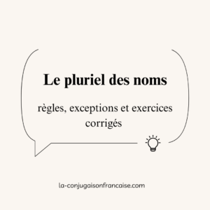 Le pluriel des noms en français : règles, exceptions et exercices corrigés