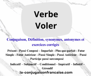 Verbe voler conjugaison, définition, synonymes, antonymes et exercices corrigés