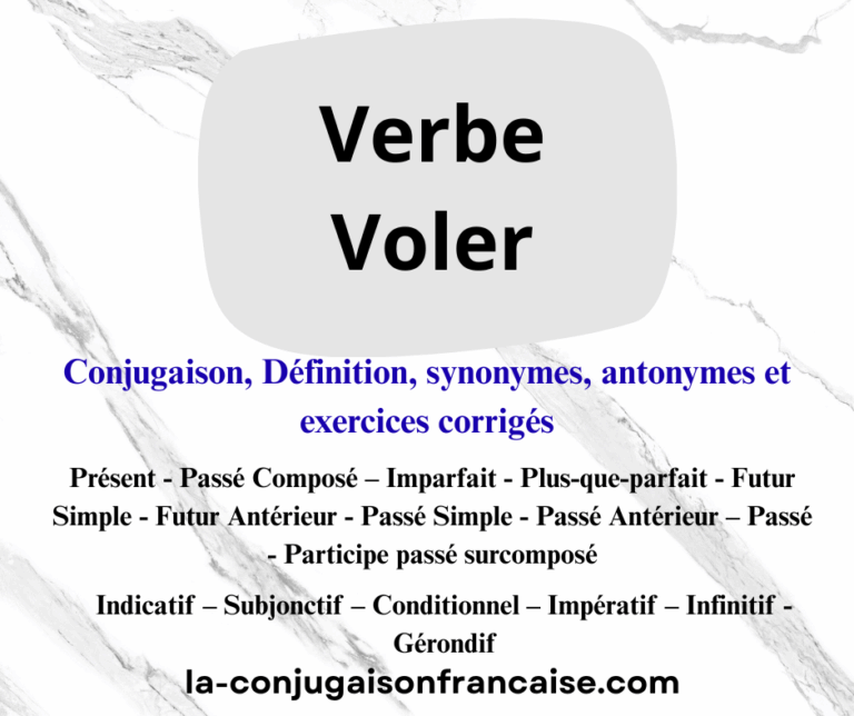 Verbe voler conjugaison, définition, synonymes, antonymes et exercices corrigés