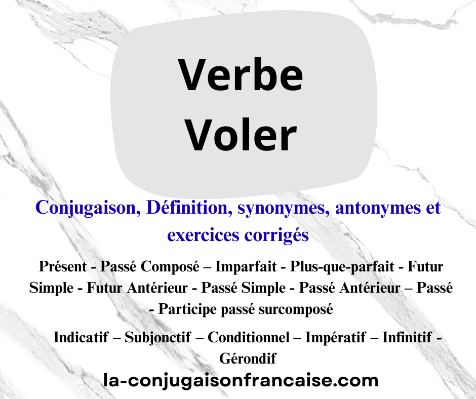 Verbe voler conjugaison, définition, synonyme, exercices